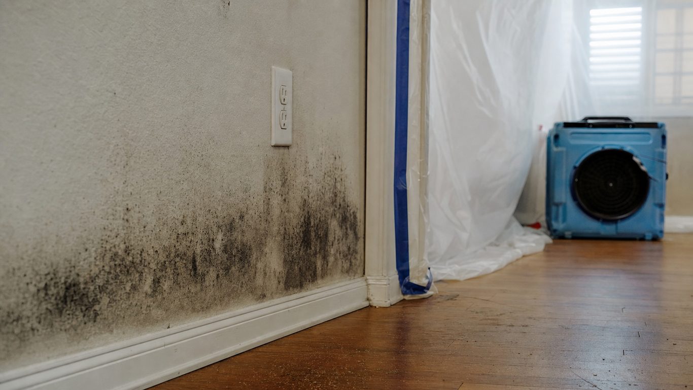 Contained wall area with dark mold staining and air filtration equipment for black mold removal in Oklahoma City.